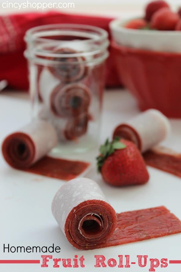 Homemade Fruit Roll Ups - The Art of Doing Stuff