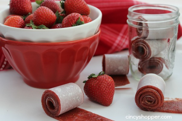 Homemade Fruit Roll Ups - The Art of Doing Stuff