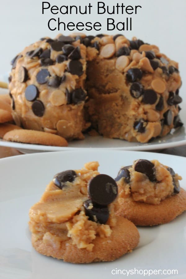 Peanut Butter Cheese Ball- Great party appetizer for all of the peanut butter fans. So easy too!