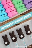 Chocolate Covered Peeps - CincyShopper