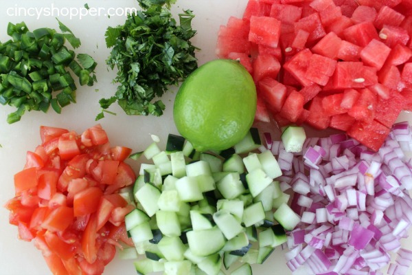 Diced salsa ingredients 