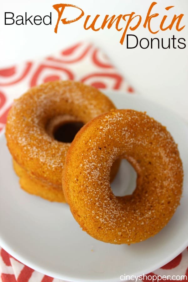 Baked Pumpkin Donuts Recipe. Easy and perfect for "On the Go Breakfast" this fall. Also great for evening dessert. 