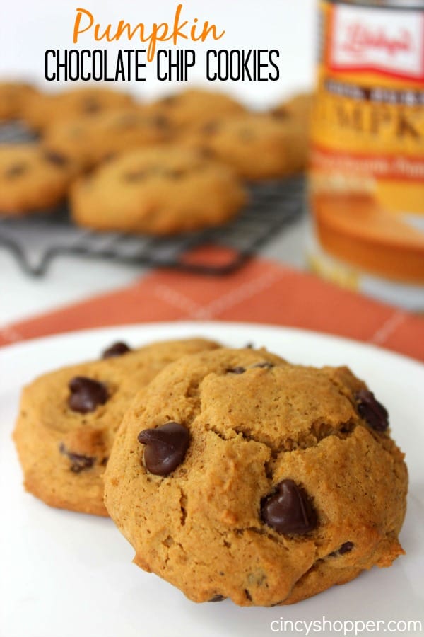Pumpkin Chocolate Chip Cookies Recipe