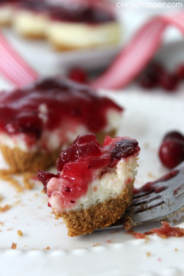 Mini Cranberry Cheesecakes Recipe. Perfect individual cheesecakes topped with cranberry yumminess. Great for the holiday dessert table! 