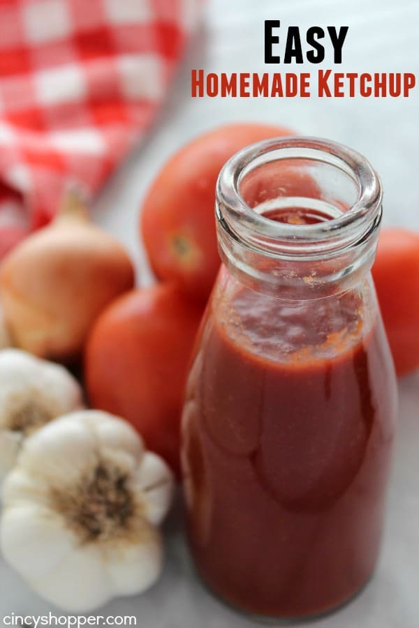 Easy Homemade Ketchup- Super simple ketchup recipe that uses tomato paste for a base. Perfect for when you are "fresh out" of ketchup.