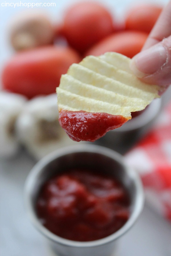 Easy Homemade Ketchup- Super simple ketchup recipe that uses tomato paste for a base. Perfect for when you are "fresh out" of ketchup.