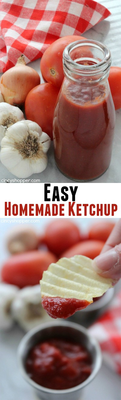 Easy Homemade Ketchup- Super simple ketchup recipe that uses tomato paste for a base. Perfect for when you are "fresh out" of ketchup.