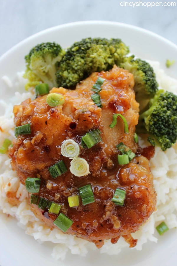 Honey Garlic Chicken Thighs - A quick and easy chicken meal. Moist and full of great sweet and spicy flavors. All ingredients can be purchased at Aldi for under $7 and feed a larger family.