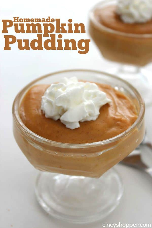 Homemade Pumpkin Pudding 1