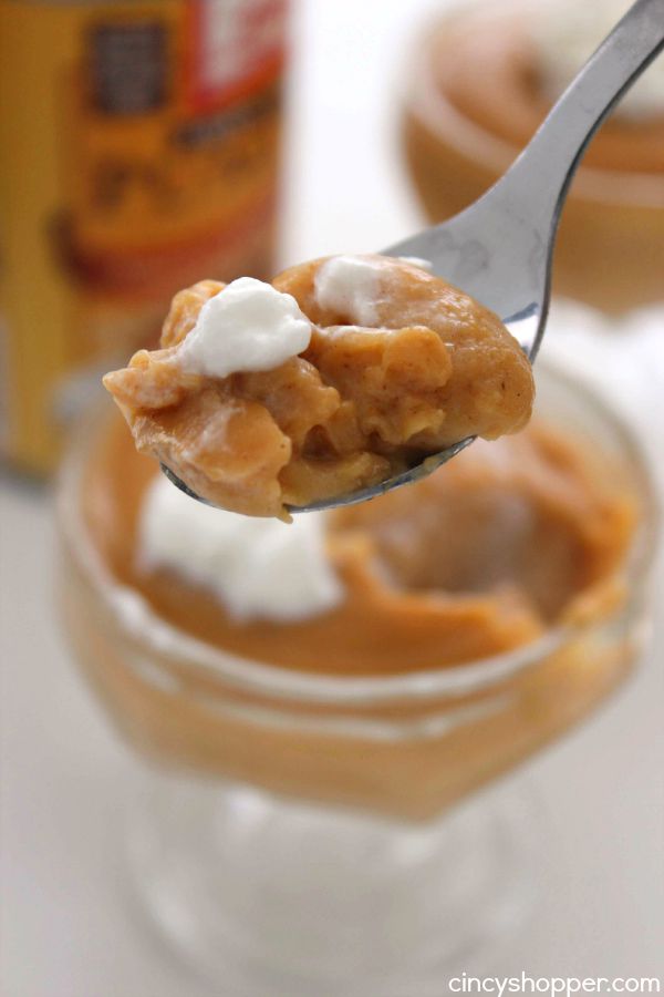 Homemade Pumpkin Pudding - Great pumpkin dessert. It's difficult to find boxed pumpkin pudding and this homemade recipe is so much better than store bought.