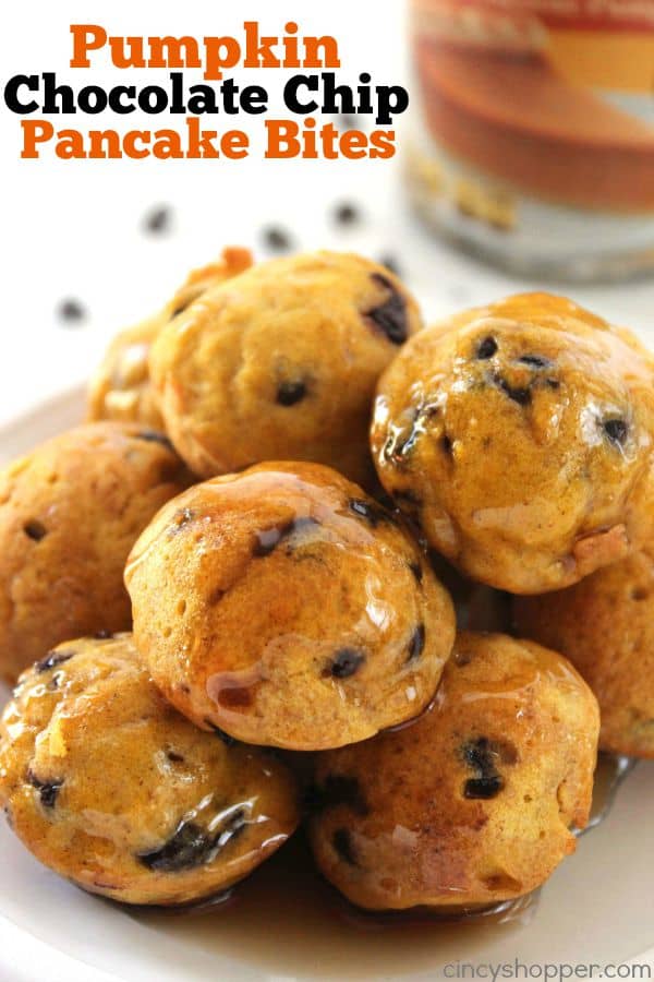 Pumpkin Chocolate Chip Pancake Bites - loaded with great pumpkin flavor along with chocolate chips to make for a great bite sized or on the go fall breakfast idea.