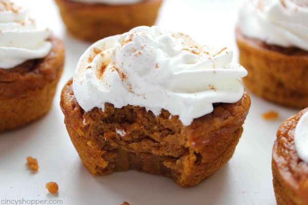 Pumpkin Pie Cupcakes- Pumpkin pie without the crust. Not to wet, not to dry! Perfect fall dessert. 