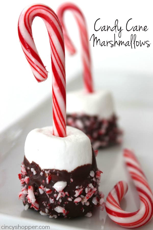 Chocolate Dipped Candy Cane Marshmallows - Perfect for dipping in hot chocolate or even for gifting at Christmas. Super Simple and Super Cute!