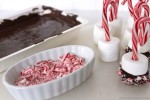 Candy Cane Marshmallows - CincyShopper