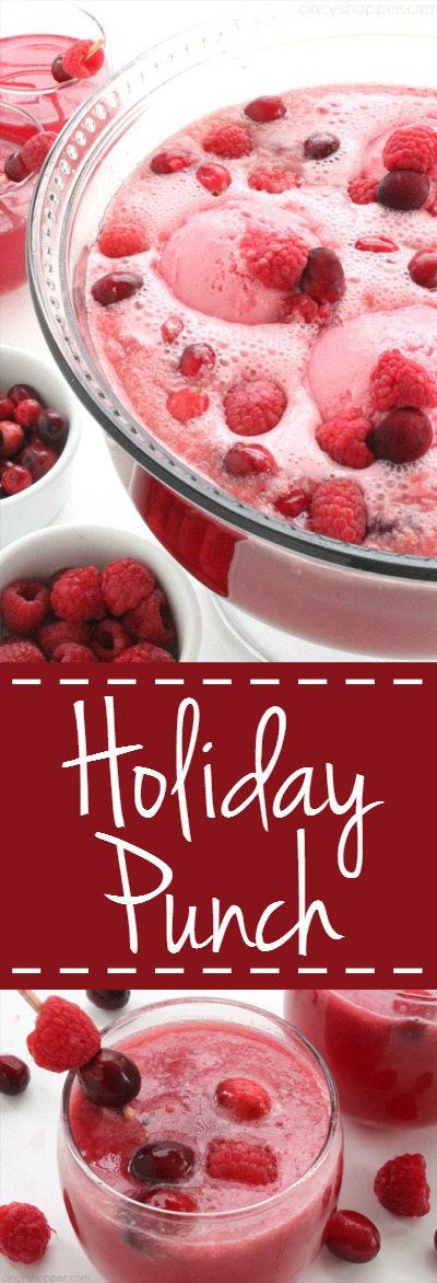 Holiday Punch - super Christmas punch idea. Loaded with cranberry, raspberry, lemon-lime flavors, and then topped with raspberry sherbet, it is sure to be a favorite at your holiday parties.
