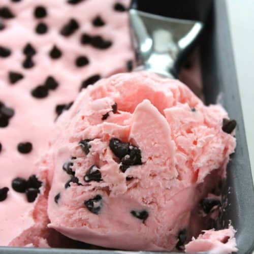 Peppermint ice cream best sale without ice cream maker