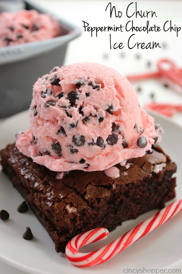 No Churn Peppermint Chocolate Chip Ice Cream -perfect holiday dessert. Since no ice cream machine is needed, the recipe is so super simple