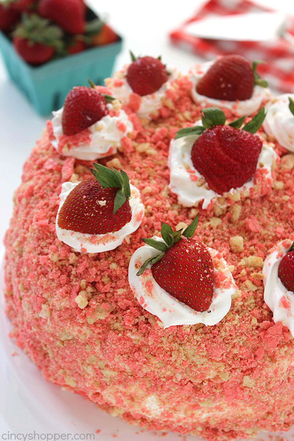 Strawberry Shortcake Crunch Ice Cream Cake Recipe - Restless Chipotle