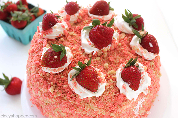 Strawberry Crunch Bar Ice Cream Cake 23