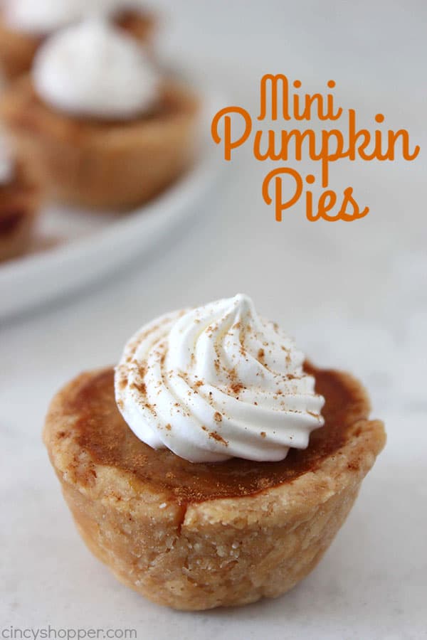 Mini Pumpkin Pies - CincyShopper