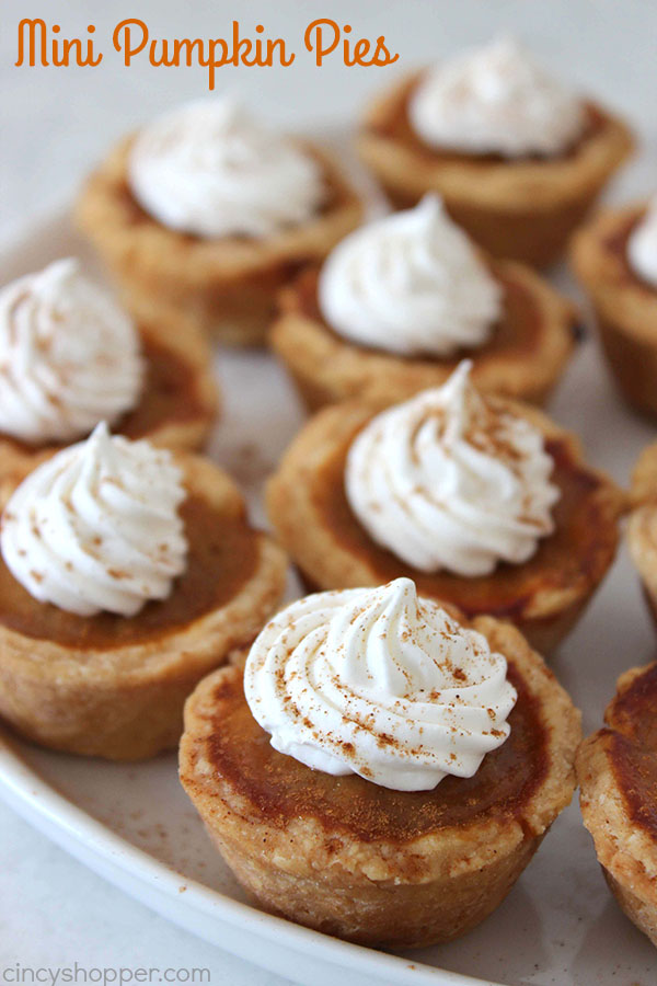 Mini Pumpkin Pies - a cute and easy Thanksgiving or Christmas dessert idea.