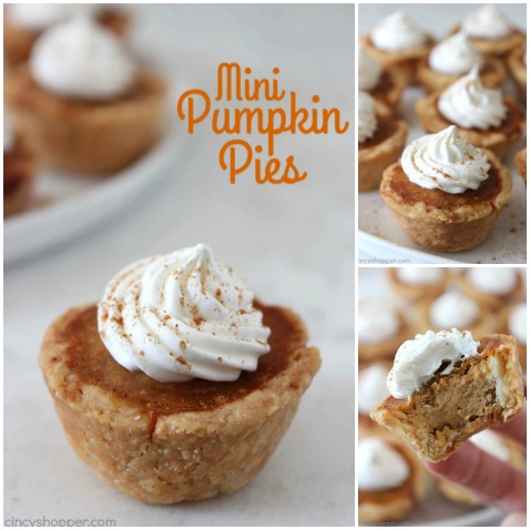 Mini Pumpkin Pies - a cute and easy Thanksgiving or Christmas dessert idea.