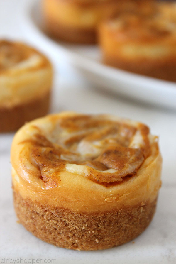 Mini Pumpkin Swirl Cheesecakes will make for a perfect Thanksgiving or fall dessert idea. Plus they are easy to make.