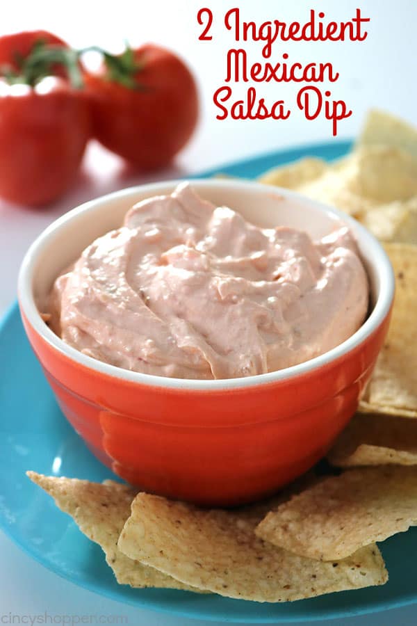 This 2 Ingredient Mexican Salsa Dip is so super simple to throw together for a last minute appetizer.