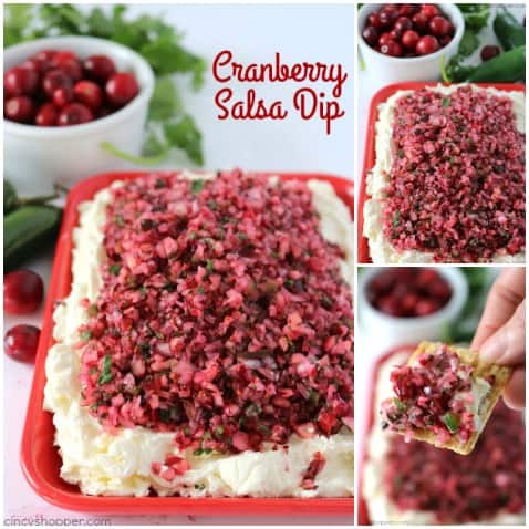 If you are needing an awesome Thanksgiving or Christmas appetizer, this Cranberry Salsa Dip will be perfect. It is loaded with a bit of spice that gives great flavors. Serve this dip with some crackers. Quick and Easy!