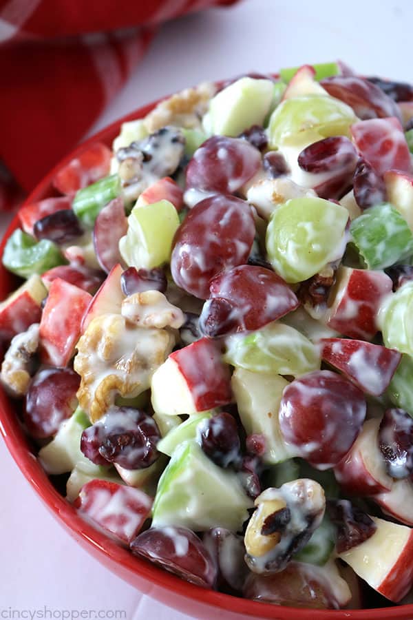 Waldorf Salad- loaded with apples, grapes, celery, dried cranberries, walnuts, and vanilla yogurt. It will make for a perfect side dish for your Thanksgiving and Christmas dinners.