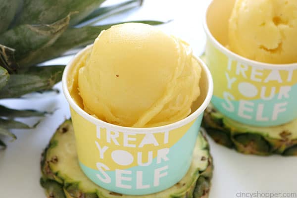 2 Ingredient Pineapple Sorbet - So easy to make. Perfect on a hot summer day! #Pineapple #2Ingredient #Sorbet #SummerTreat #Cold Treat