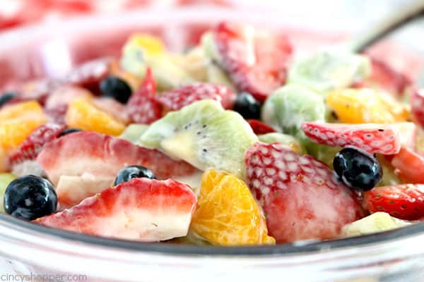 This Creamy Fruit Salad is loaded with tons of fresh fruits and a creamy vanilla yogurt dressing. It is so simple to throw together and perfect for a side dish or dessert. You will find it to be a hit at your next picnic or BBQ!