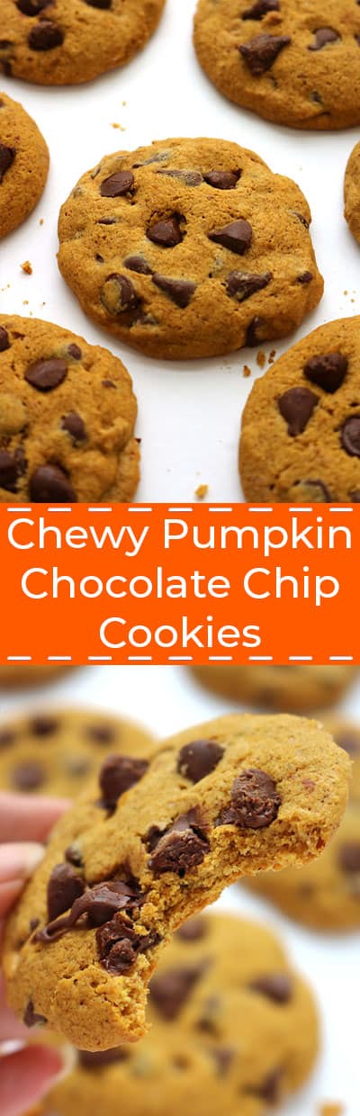 Chewy Pumpkin Chocolate Chip Cookies are the BEST! With NO cake like texture.