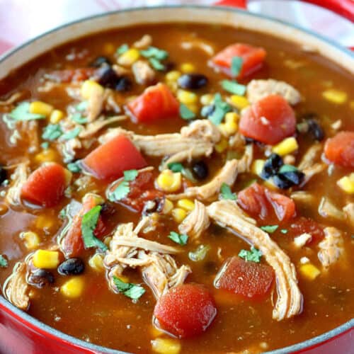 Chicken Tortilla Soup - CincyShopper