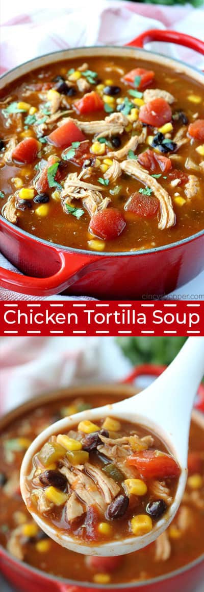 Long Chicken Tortilla Soup inage.