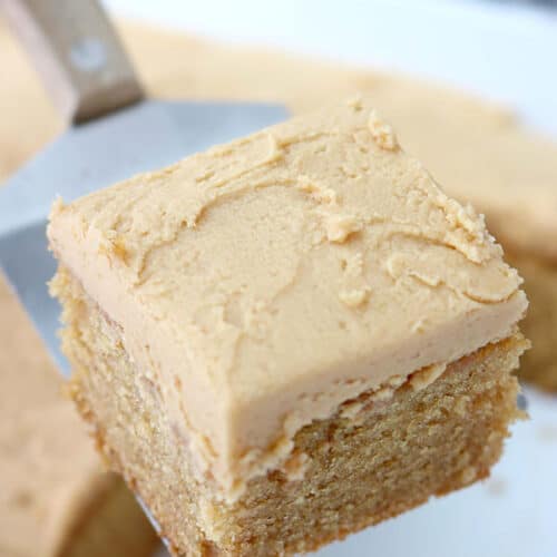 Peanut Butter Pudding Cake Recipe Easy Warm Homemade Cake Idea