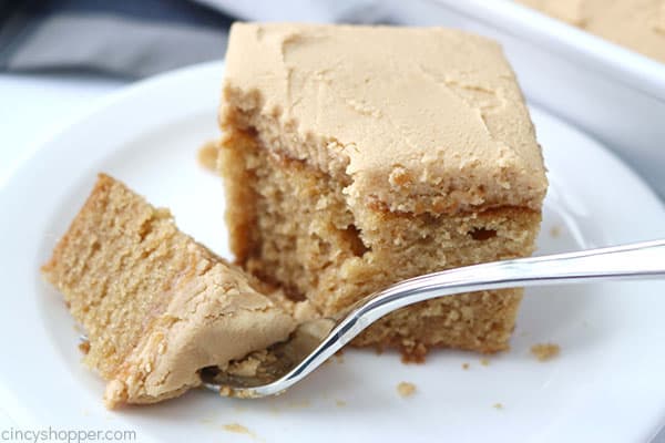 Peanut butter cake with fork on a plate