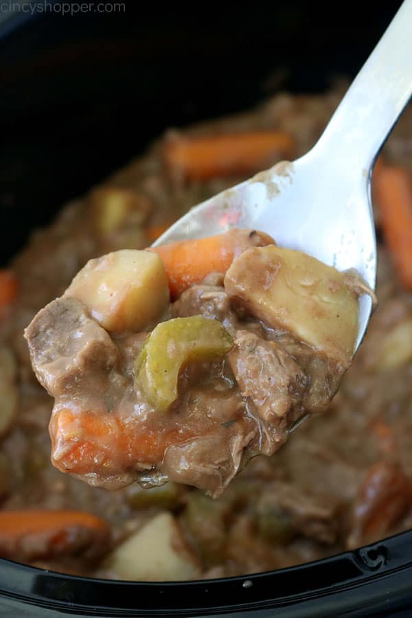 Spoon filled with Beef Stew