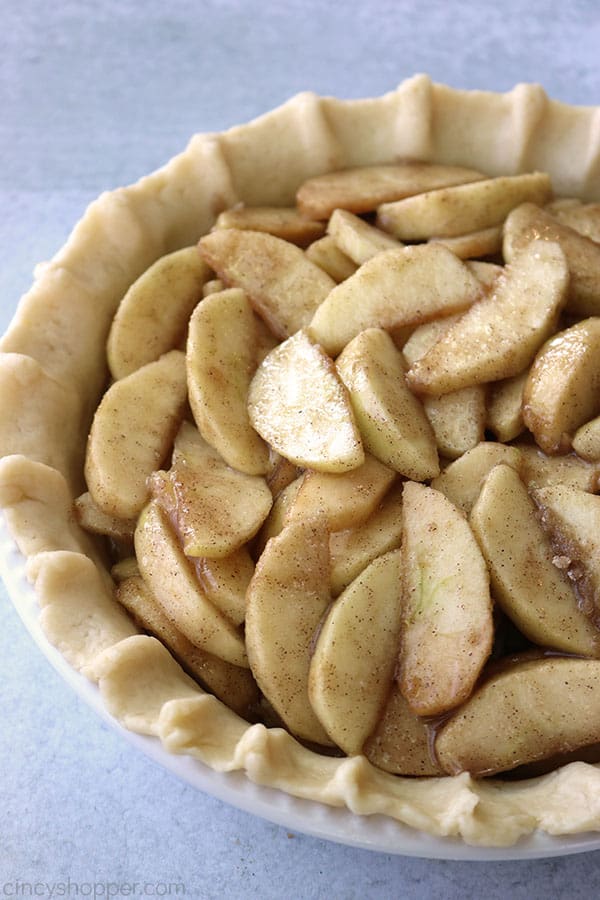 Apple pie filling in crust.