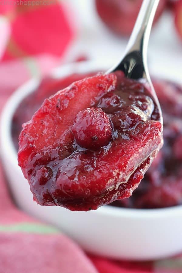 Homemade Cranberry Sauce on a spoon.