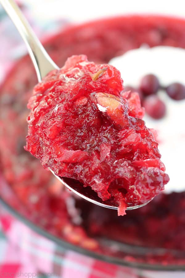 Spoon with cranberry salad.