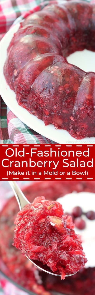 Fresh Cranberry Gelatin Mold - Self Proclaimed Foodie