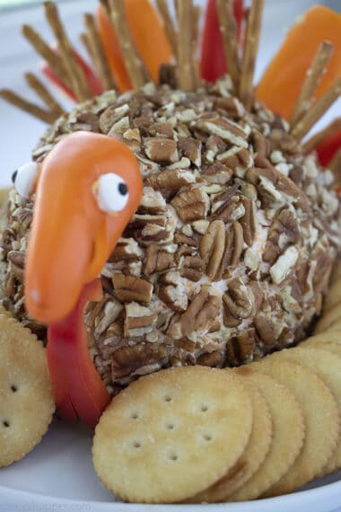 Thanksgiving Turkey Cheeseball - CincyShopper