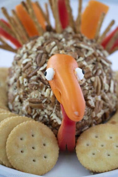 Thanksgiving Turkey Cheeseball - CincyShopper