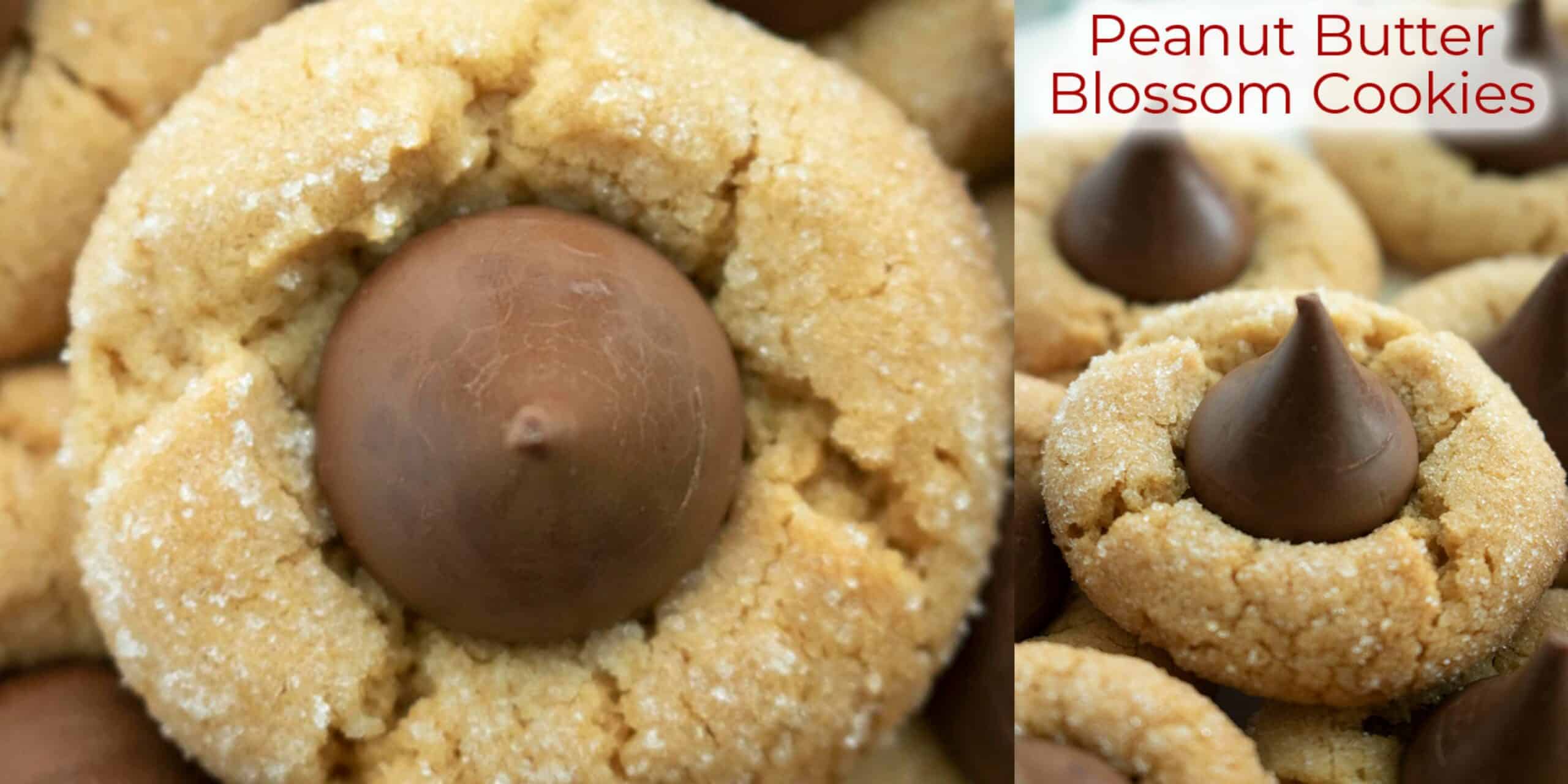 Peanut Butter Blossom Cookies - CincyShopper