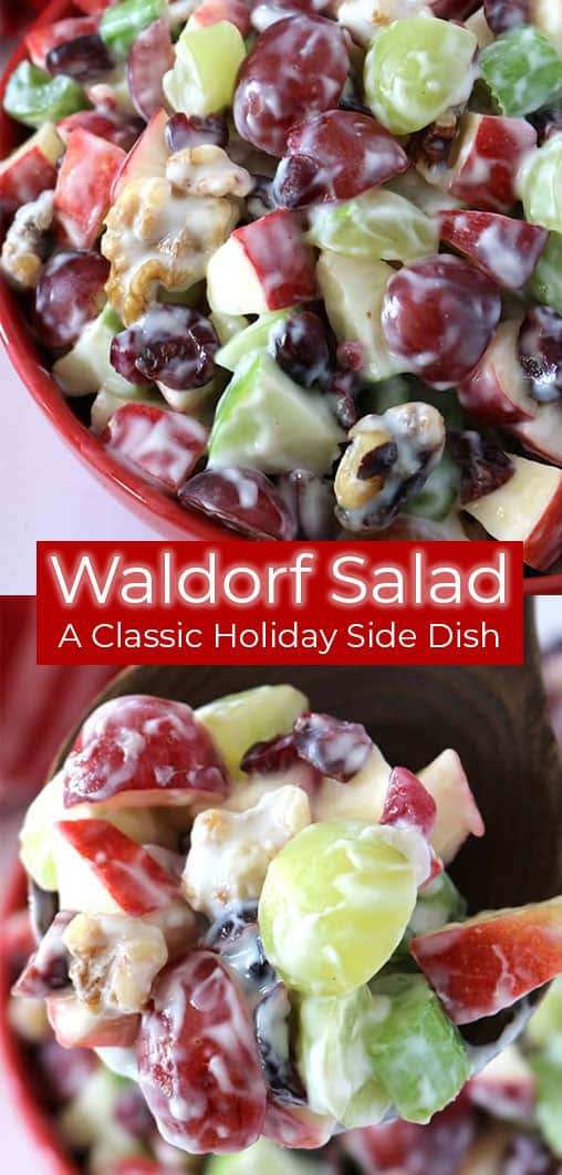 You will find this Waldorf Salad loaded with apples, grapes, celery, dried cranberries, walnuts, and vanilla yogurt. It will make for a perfect side dish for your Thanksgiving and Christmas dinners.