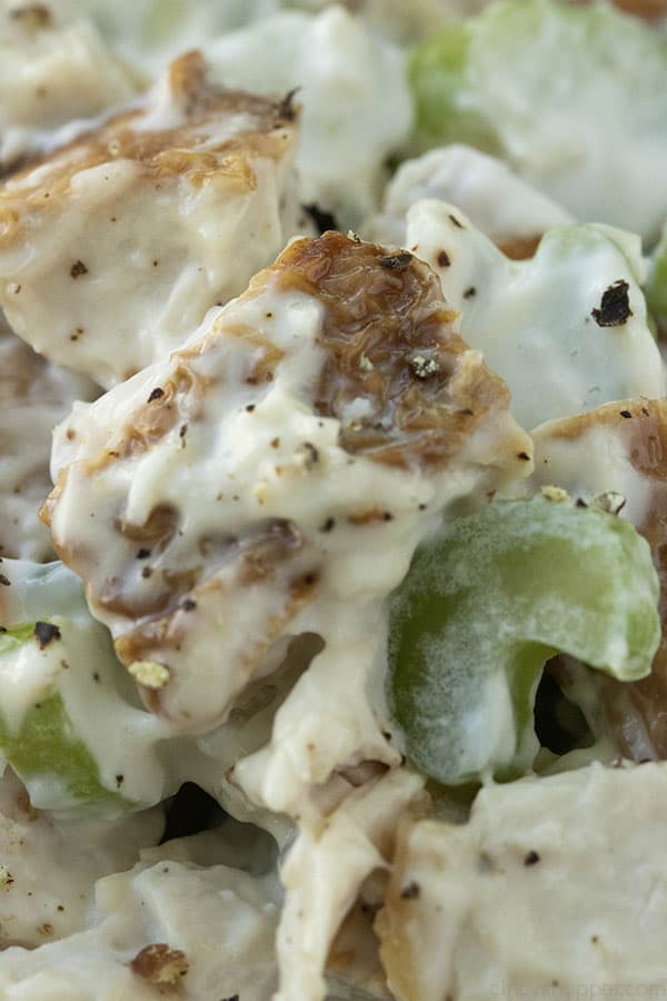 close up image of cubes of chicken and celery covered with mayo dressing