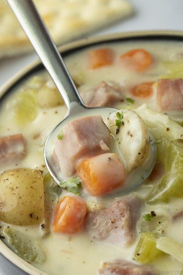 Spoon with creamy soup in a bowl