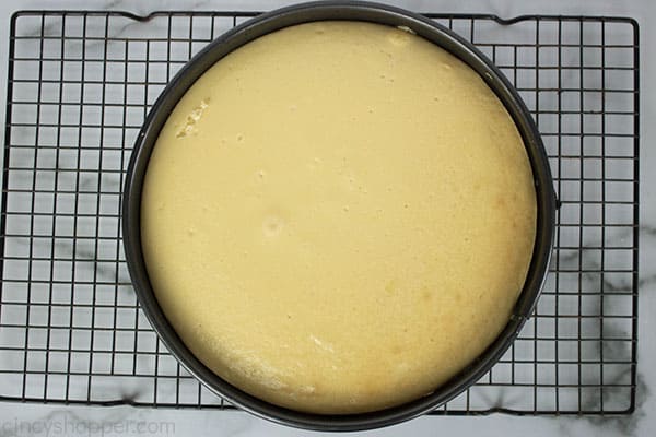 cheesecake in springform pan cooling on a wire rack