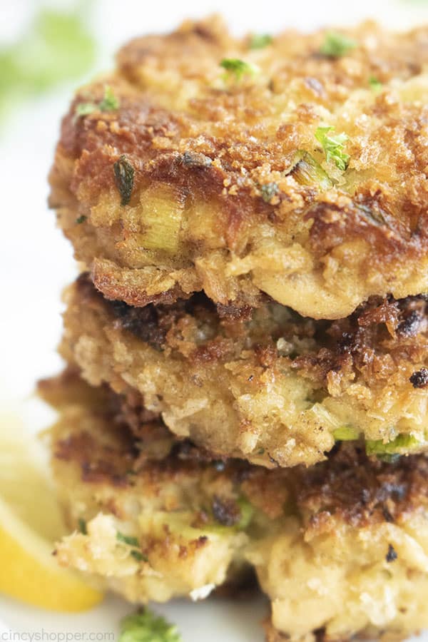 close up photo of canned salmon patties